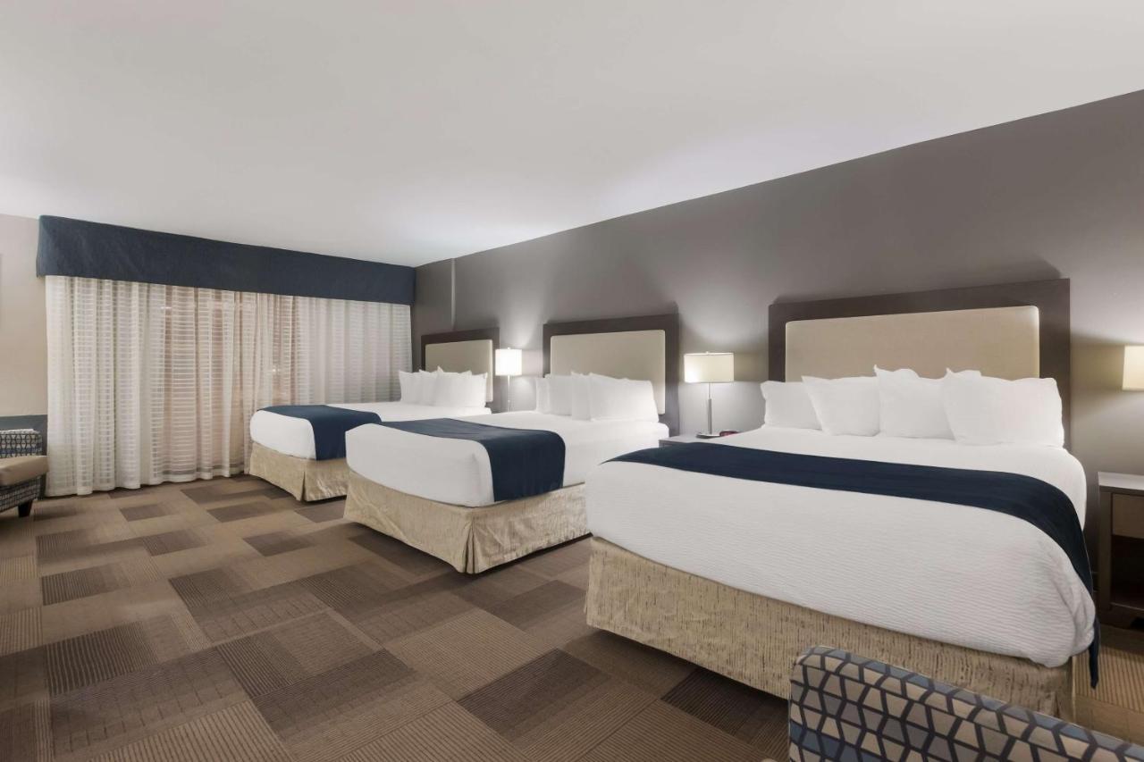 Queen Room with Three Queen Beds - Non-Smoking,1332736967:JPEG