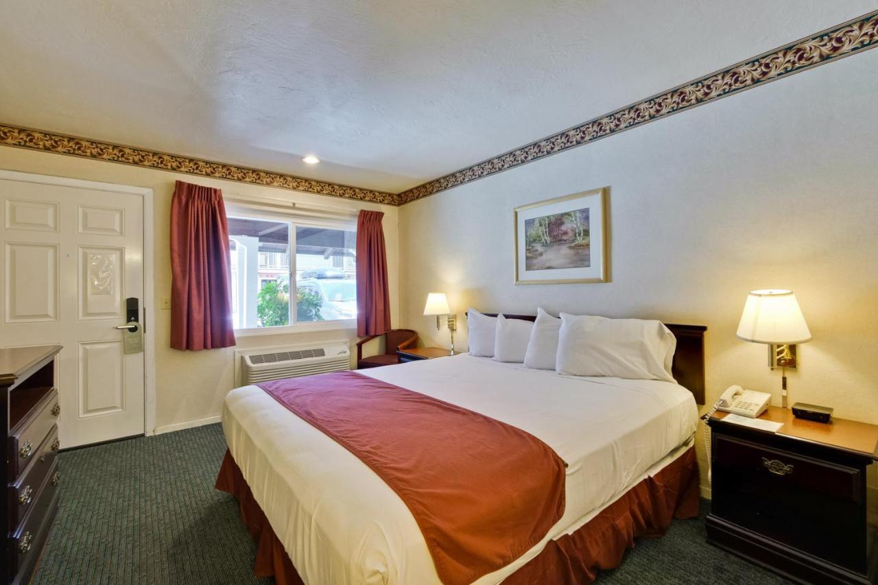 King Room,1545501541:JPEG