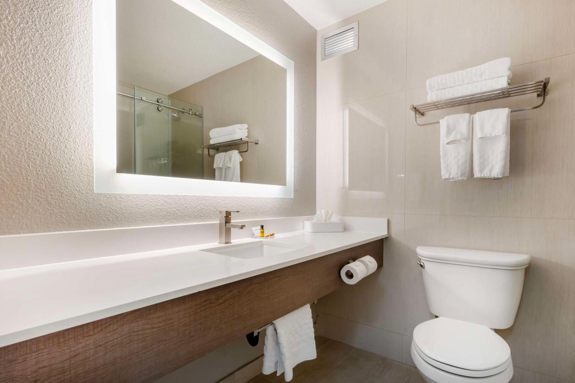 One-Bedroom Queen Suite with Sofa Bed,1548070813:JPEG