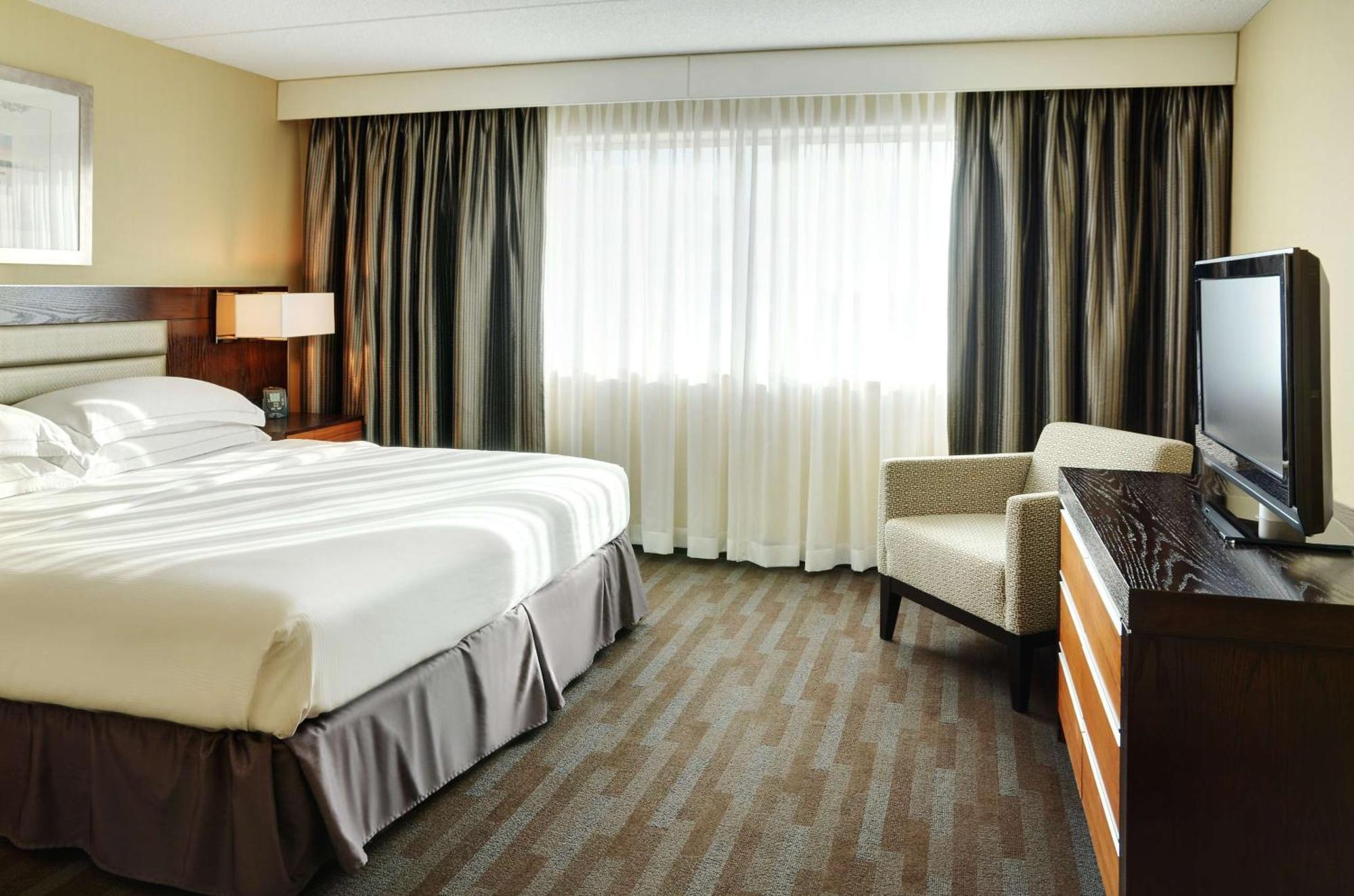 1 Bedroom Junior Suite,1551445150:JPEG