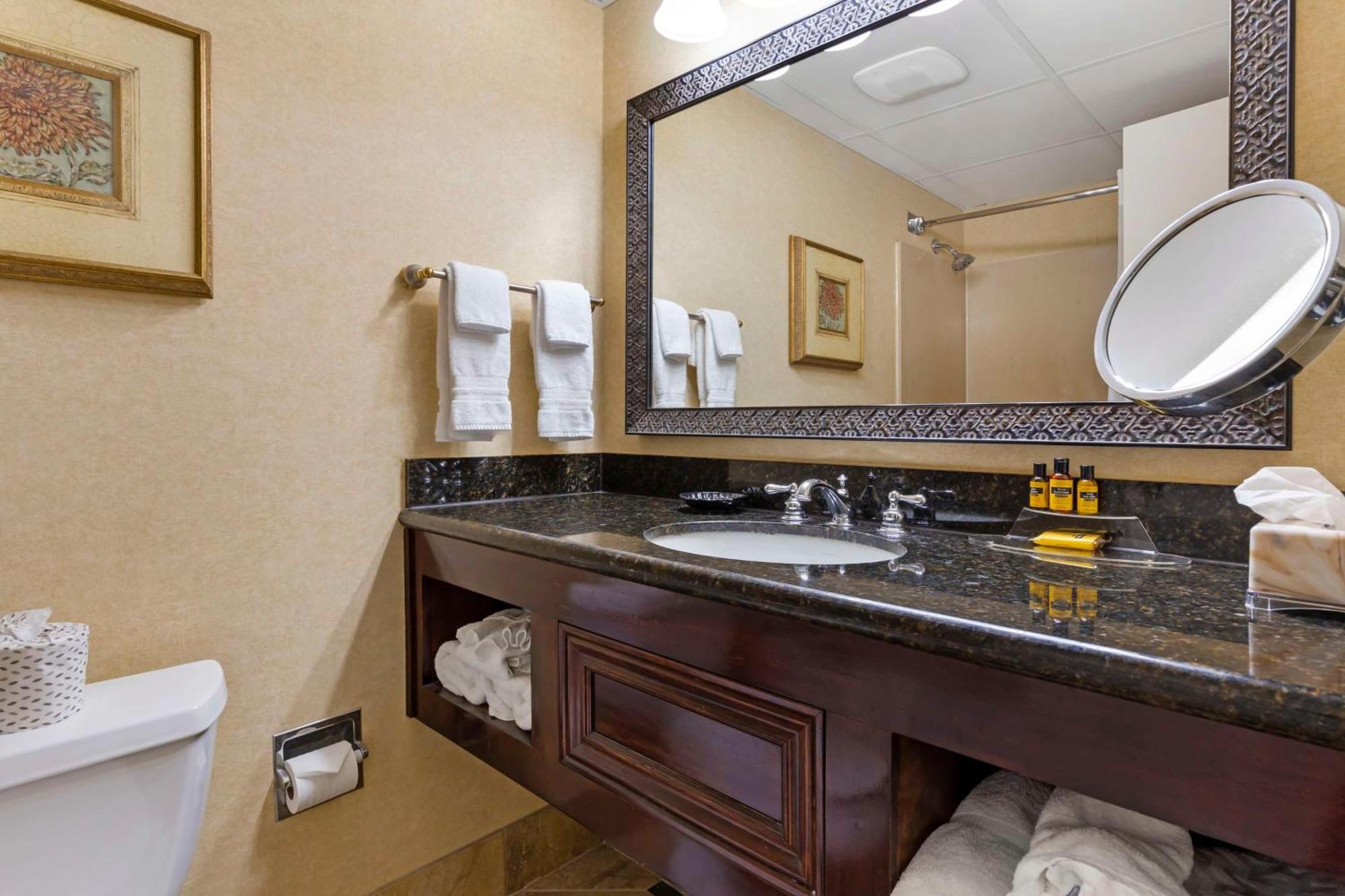 King Suite with Walk-In Shower and Sofa Bed - Disability/Non-Smoking,1622087633:JPEG