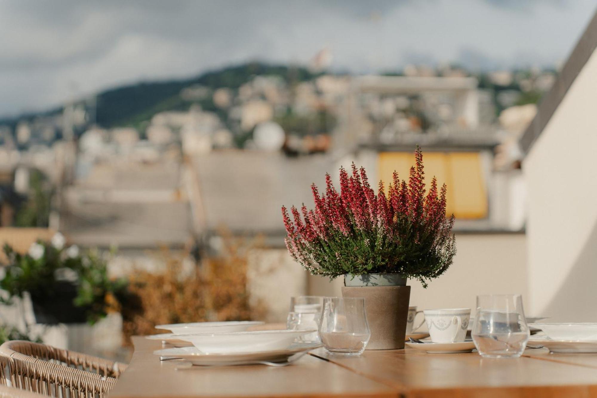 Suite Terrace