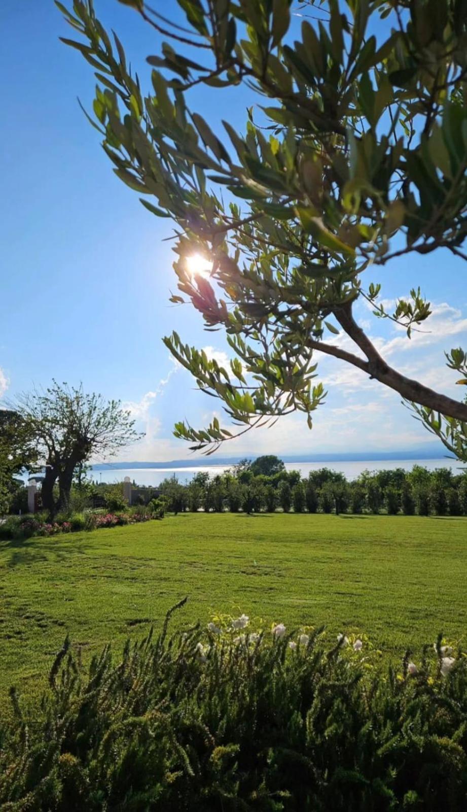 Superior Room Lake View