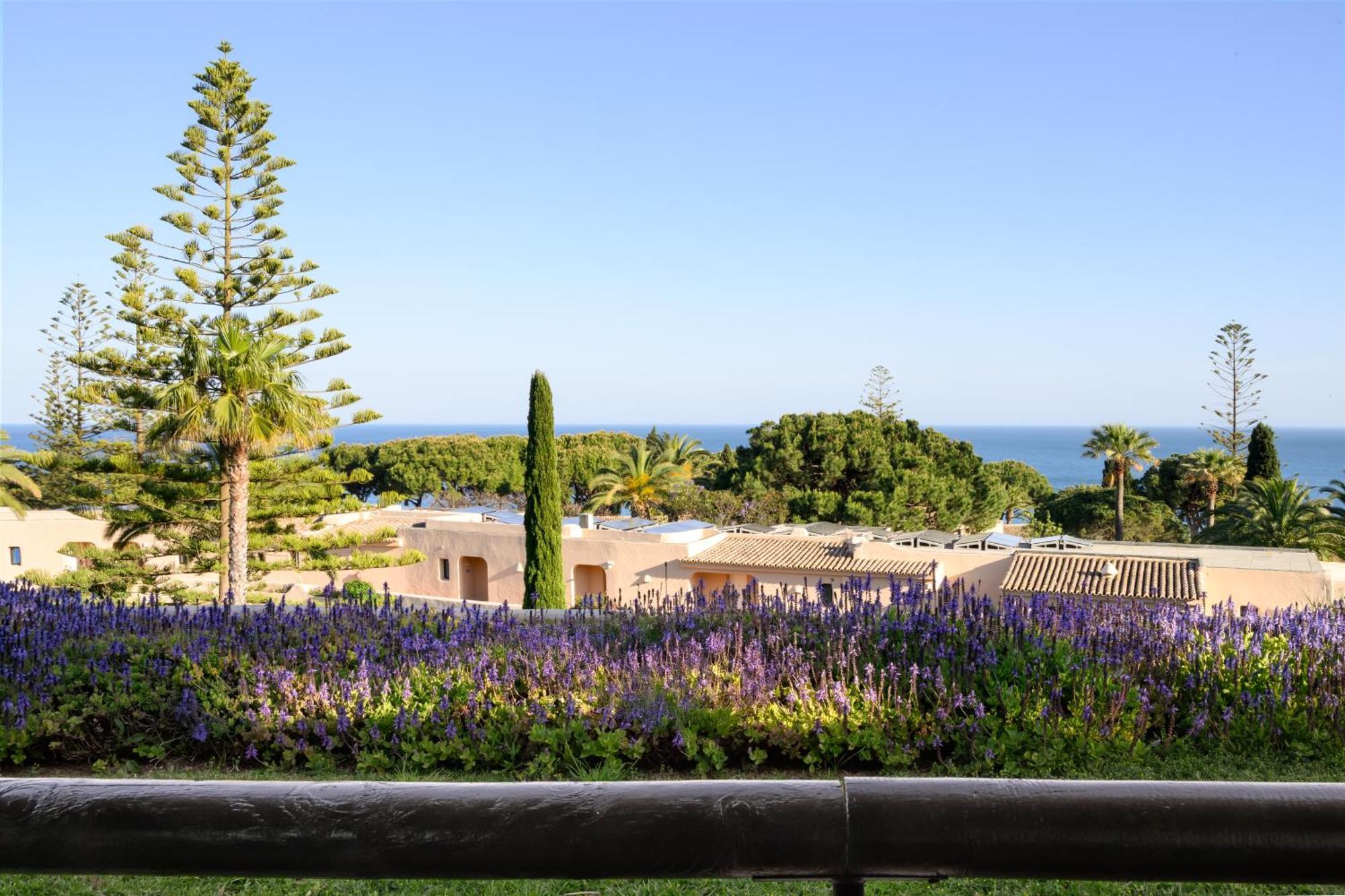 Ocean Suite,1688807892:JPEG