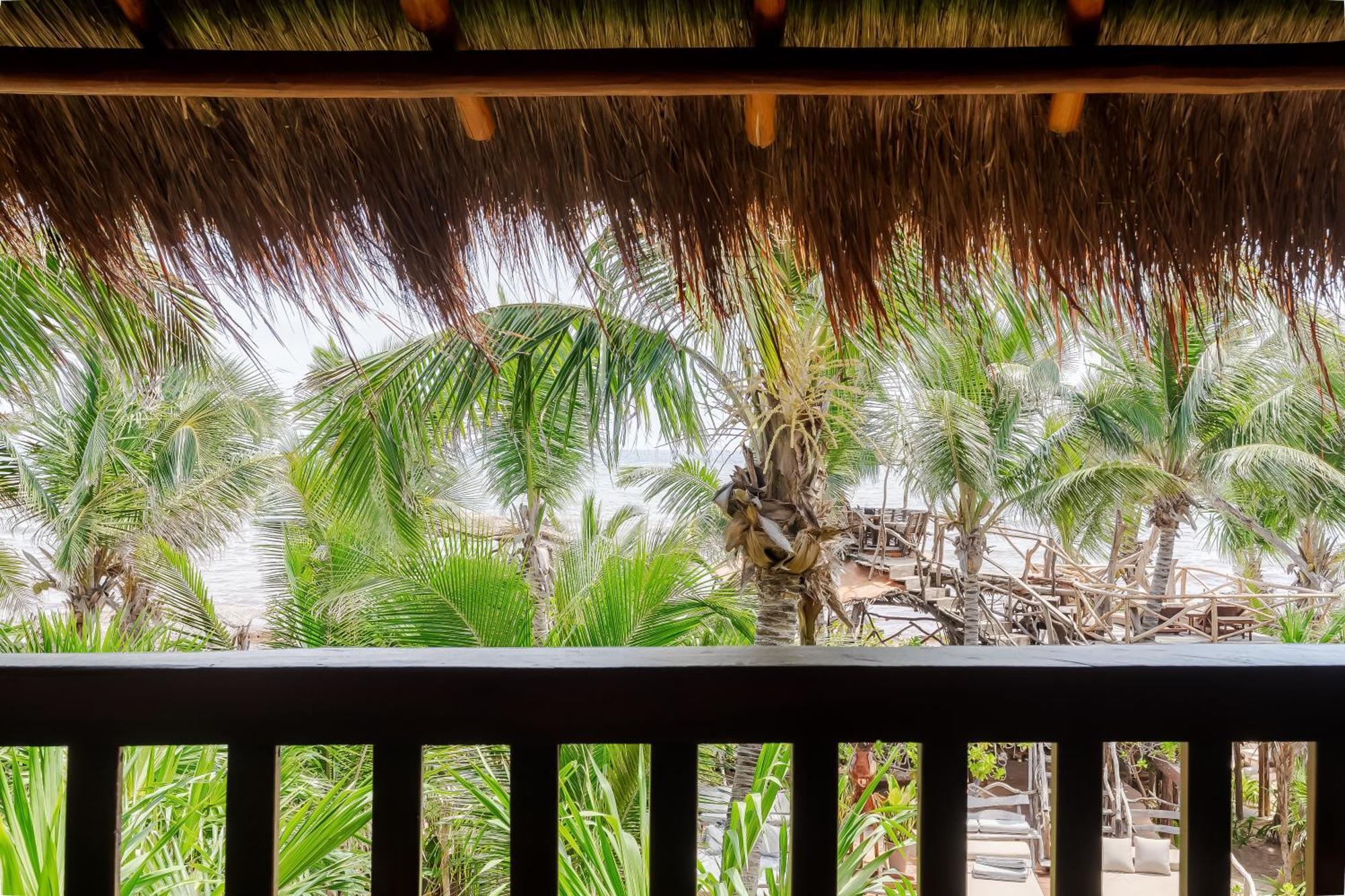 Jungle view Room King 1st floor