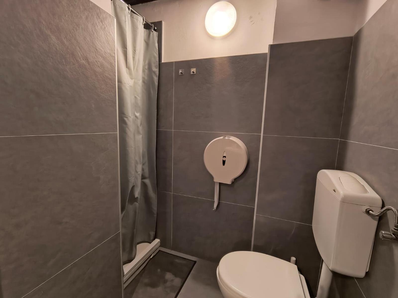 Single Bed 4-Bed Mixed Dormitory Room