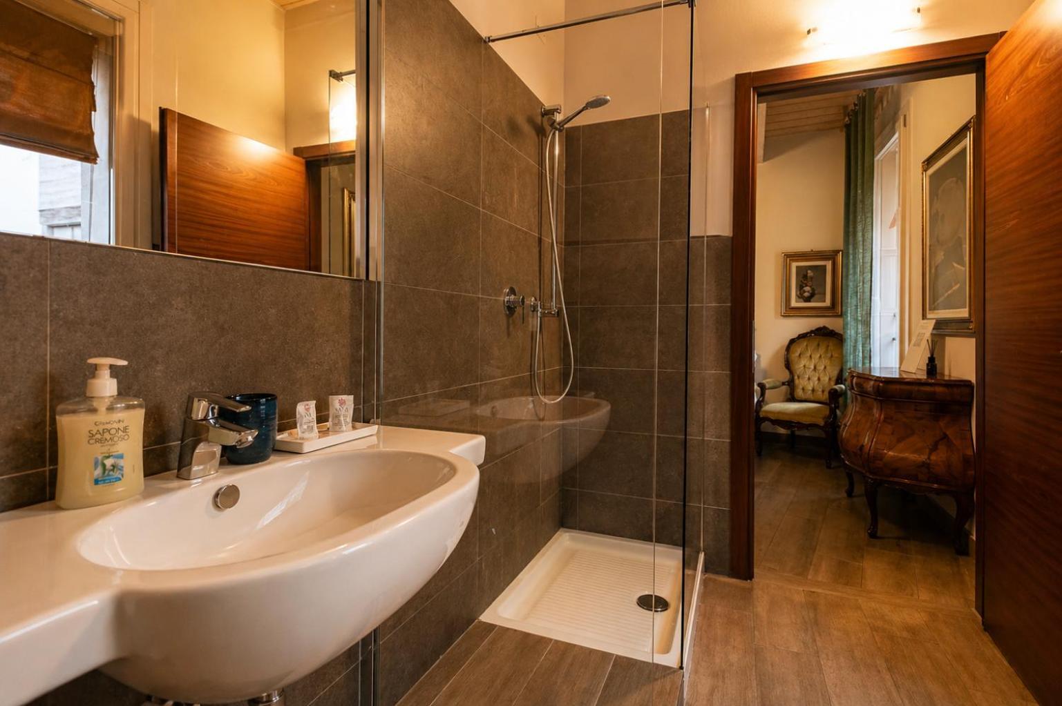 Deluxe Double Room Shower