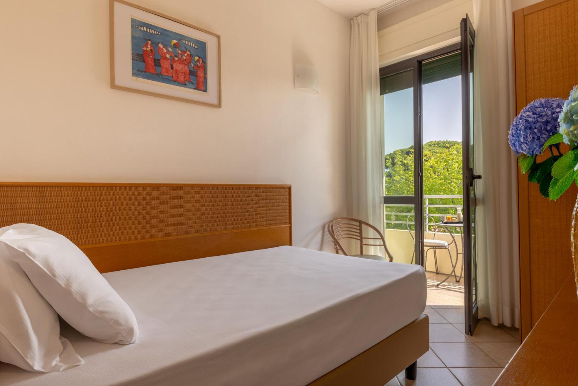 Single Room Mountain View Balcony