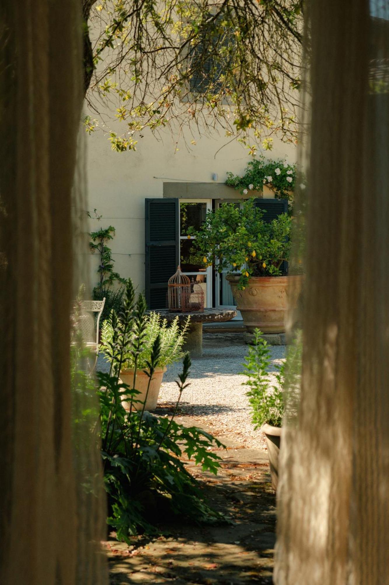 Courtyard Suite