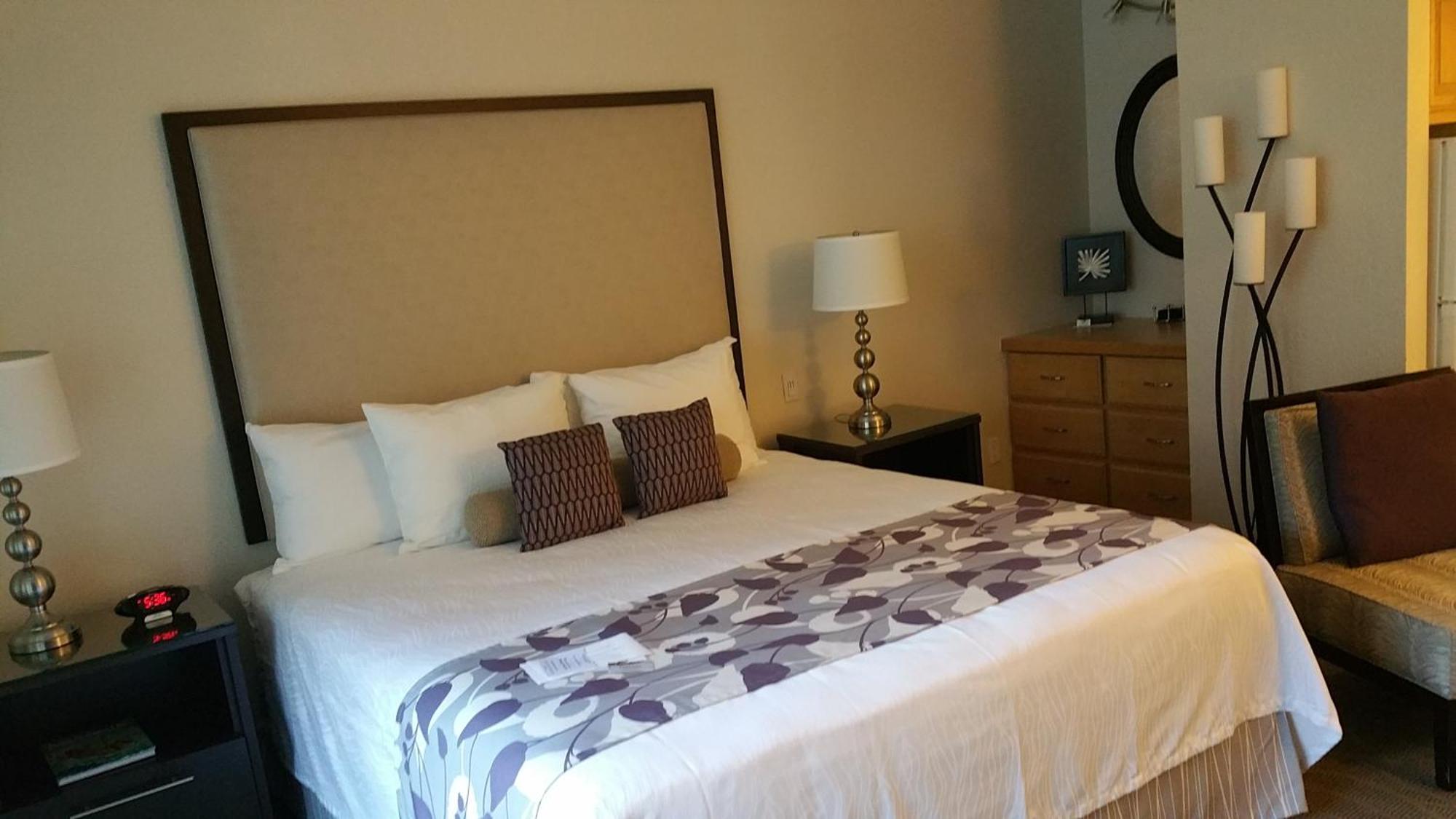 Studio,934169173:JPEG