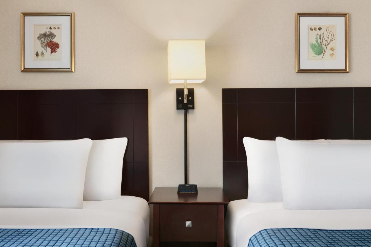 Room with Two Double Beds - Street View,925692142:JPEG