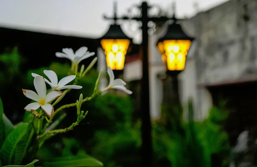 Stay Banaras - A Boutique Hotel-1