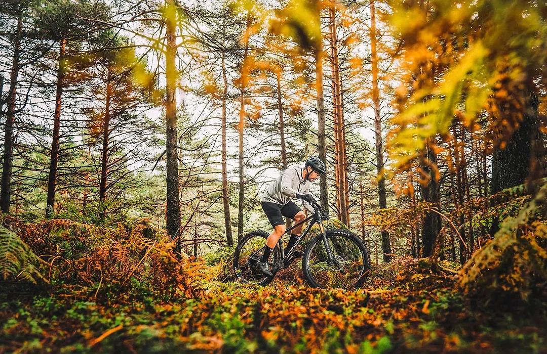 k1 sporthotel - Bike&Ski inklusive Hotel-1
