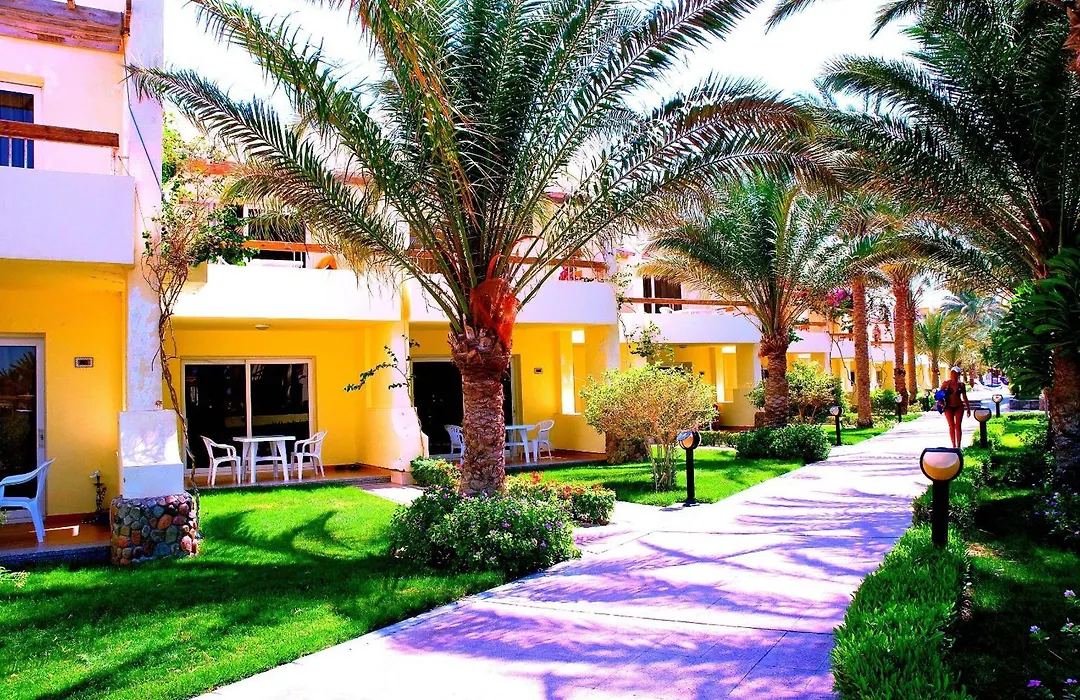 Palm Beach Resort Families And Couples Only-1