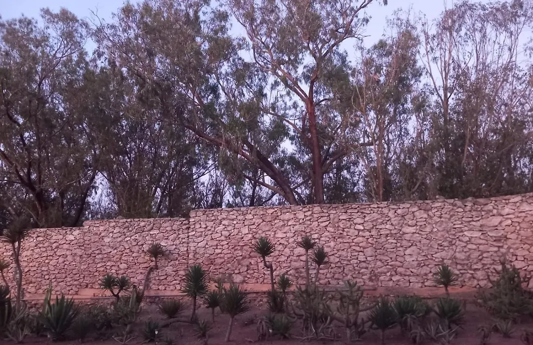 Dar Al Manar-1