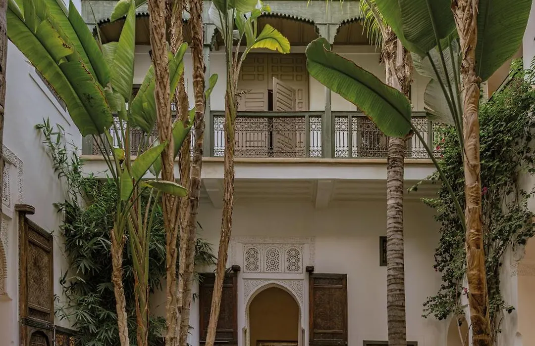 Riad Jaaneman-1