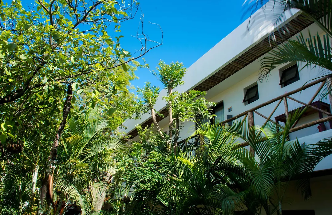 Pacha Tulum Boutique Hotel-1