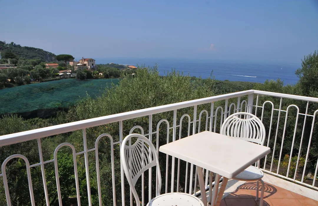 Hotel Dania-1