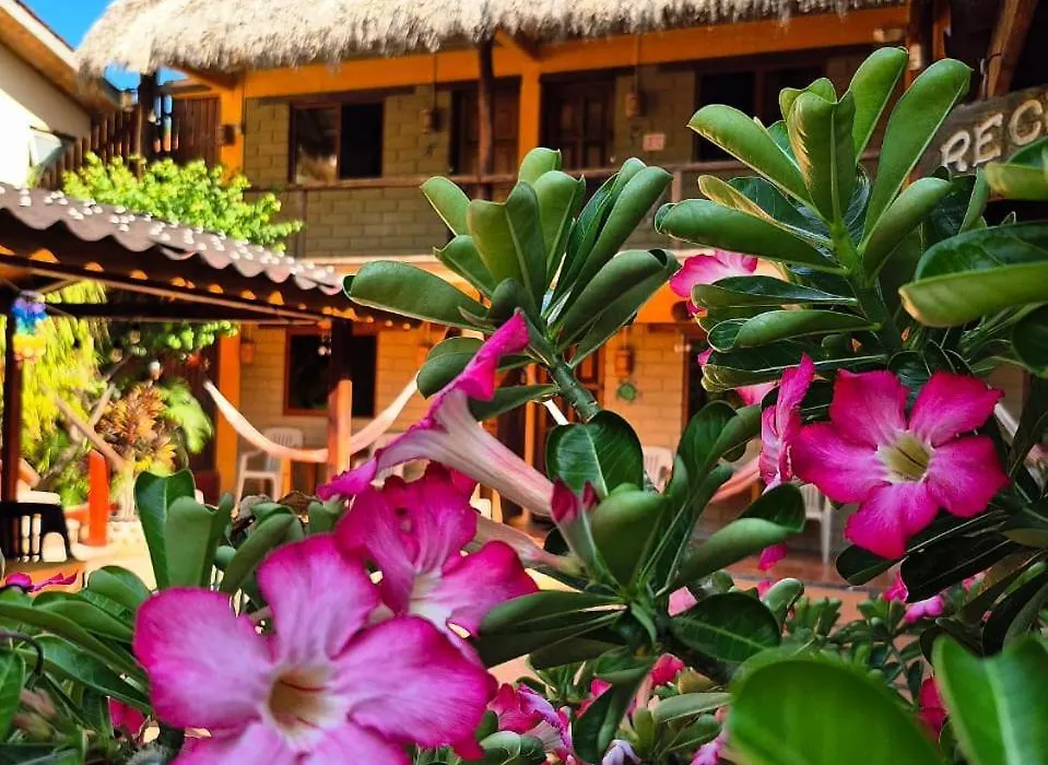 Hotelito Swiss Oasis, Playa Zicatela - Adults Only - Kitchen - Cocina-1