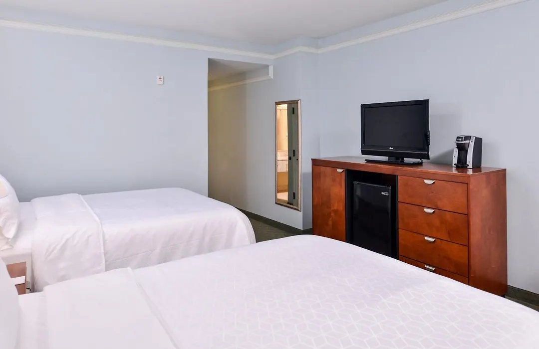 Holiday Inn Express Tampa North Telecom Park By Ihg-1