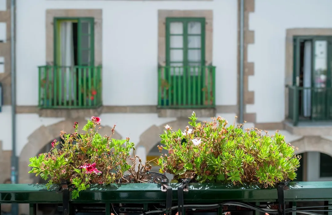 Casa San Nicolás-1