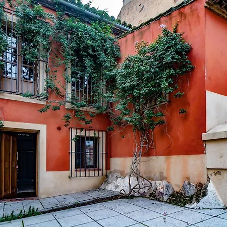 Hotel Alfonso IX (Adults Only)-2
