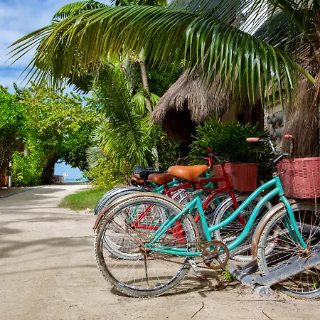 Holbox Dream Beachfront Hotel-3
