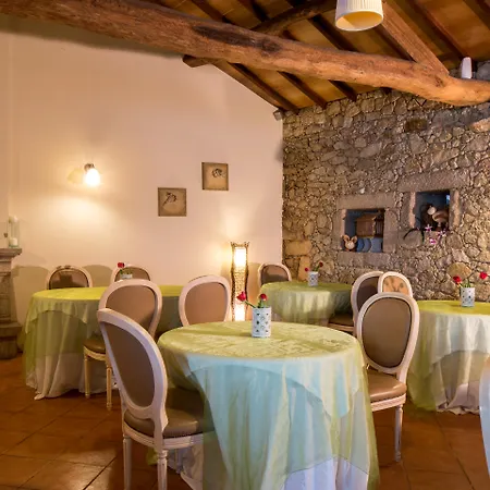 Quinta Sao Miguel De Arcos-2