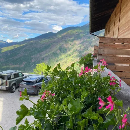 Hotel Almhof-2