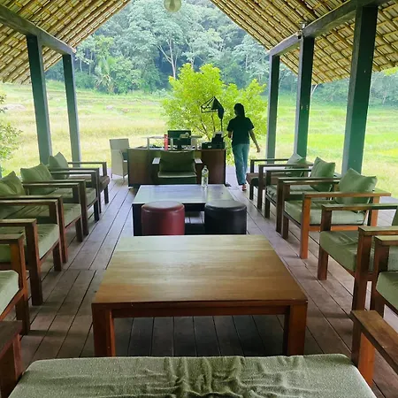 Clio Ella Resort-3