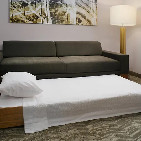 Springhill Suites By Marriott Texas City-2
