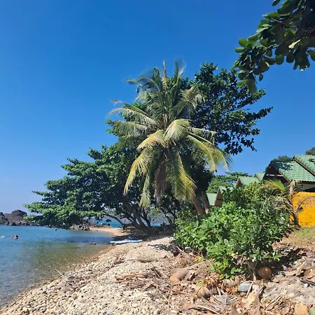 Paradise Palms-2