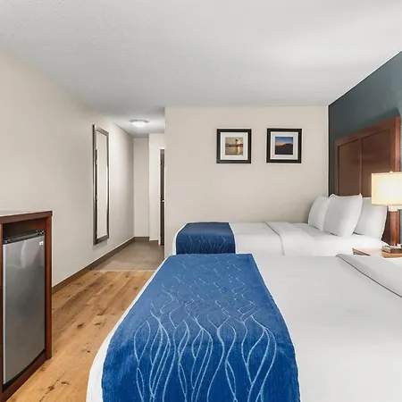 Comfort Inn & Suites Vancouver Downtown City Center-2