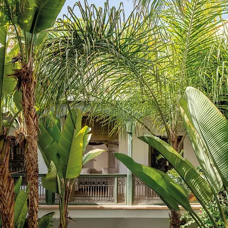 Riad Jaaneman-3