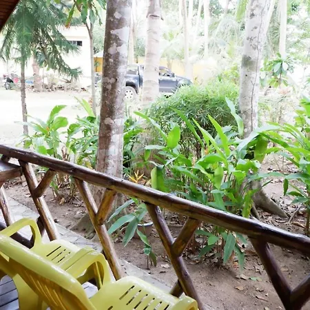 Paradise Palms-3