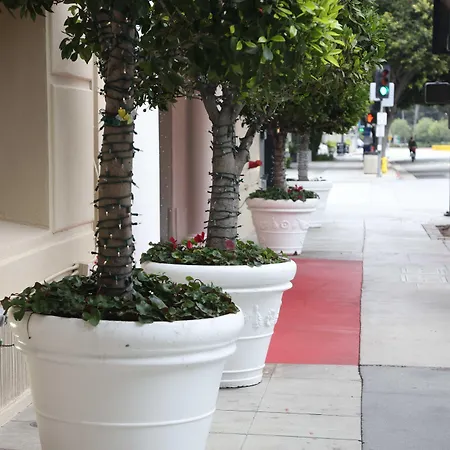 Hotel Carmel Santa Monica-2