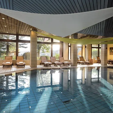 Maritim Titisee Hotel-2