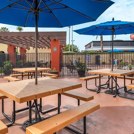 Best Western Americana Inn-2