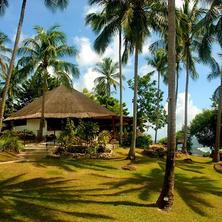 The Jungle Club-2