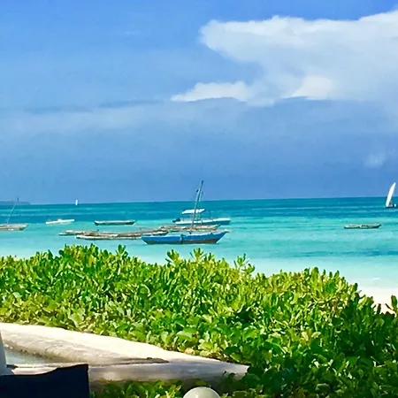 Driftwood Beach Lodge-2