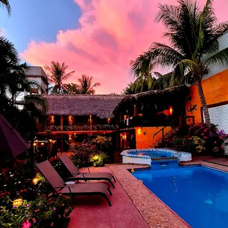 Hotelito Swiss Oasis, Playa Zicatela - Adults Only - Kitchen - Cocina-2