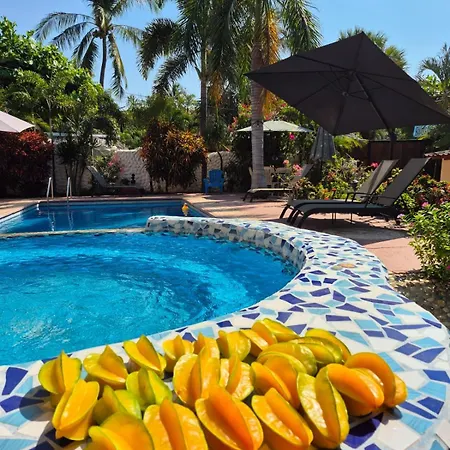 Hotelito Swiss Oasis, Playa Zicatela - Adults Only - Kitchen - Cocina-2