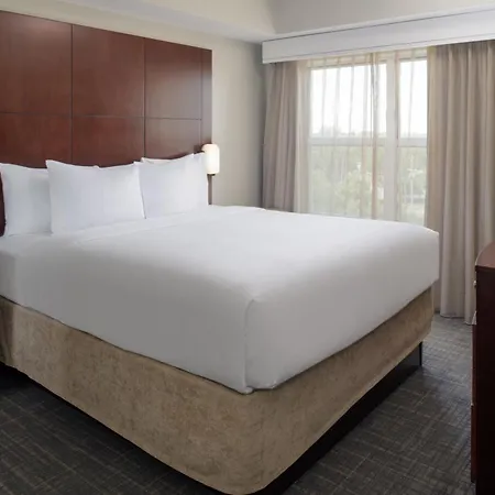 Residence Inn By Marriot Clearwater Downtown-3