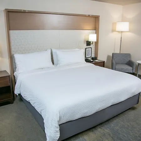 Holiday Inn Metairie New Orleans By Ihg-3