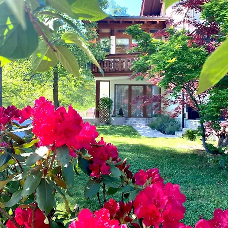 Ferienhaus Kramser-3