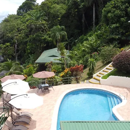 Tabulia Tree Hotel And Villas-3