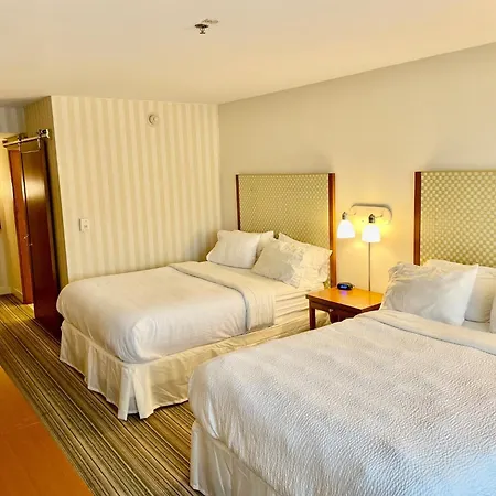 Holiday Inn Express Columbus Airport Easton-3