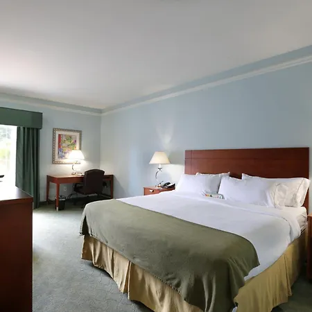 Holiday Inn Express Tampa North Telecom Park By Ihg-3