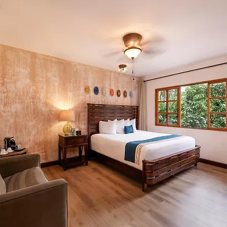 Buena Vista Chic Hotel-2