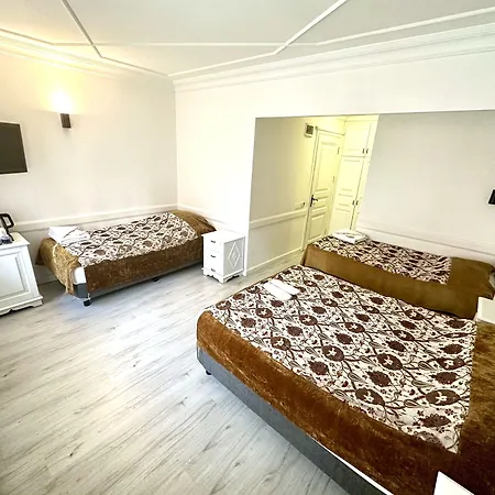 Hotel Alp Guesthouse-2